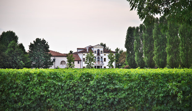 Villa Paladin